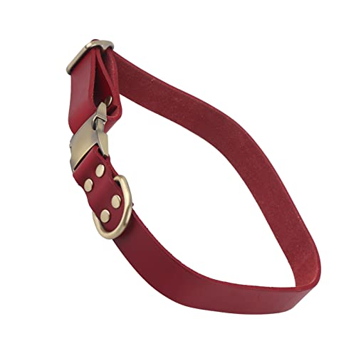 Lederhundkragen für Kleine Hunde, Schnellfreisetz Hundekragen mit Gravierter Schnalle Weiche Atmungsaktive Gepolsterte Leder -Haustierkragen Weiche Hundehalsband für Kleine Mittelgroße Große Katzen von Yinhing