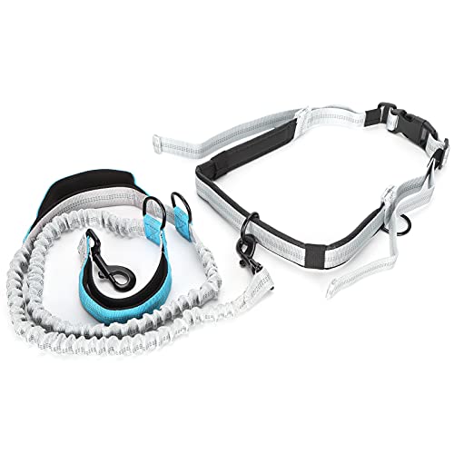 Taille Leine für Hunde Walking, Taille Leine Dual Griff Hunde Running Reflektierende Wanderleine mit Taillengürtel Schock Absorbierender Bungee - - Taillengürtel für Kleine Bis Große (Blue) von Yinhing