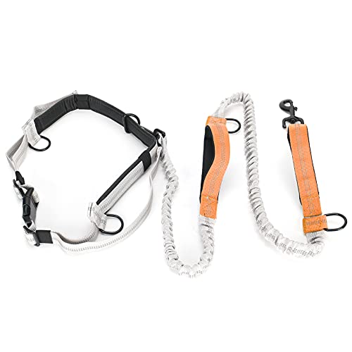 Taille Leine für Hunde Walking, Taille Leine Dual Griff Hunde Running Reflektierende Wanderleine mit Taillengürtel Schock Absorbierender Bungee - - Taillengürtel für Kleine Bis Große (Yellow) von Yinhing