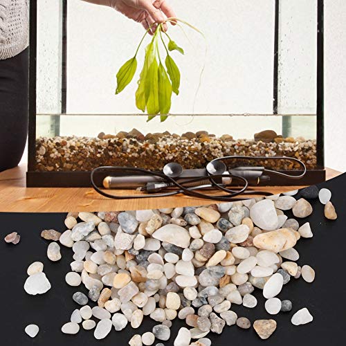 Yinhing Aquariumsubstrat für Lebende Pflanzen, Aquariumgiesflussgesteine dekorative Polierte Steine dekorative Gesteine für Topfpflanzen Vasen, Aquarien, Terrarium und Gartenarbeit Im Freien Yinhing Aquariumsubstrat für Lebende Pflanzen, Aquariumgiesflussgesteine dekorative Polierte Steine dekorative Gesteine für Topfpflanzen Vasen, Aquarien, Terrarium und Gartenarbeit Im Freien von Yinhing