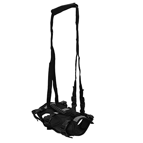 Yinhing Hunde -Rucksackgurt, Ganzkörper Hundegurt Atmungsaktives Haustier Walking Leinen Verstellbare Katzenweste Leine Stütze Hundeweste für Kleine Mittelgroße Hunde Walking Wandertraining (S) von Yinhing