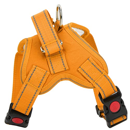 Yinhing Hundekabelbaum, Katze Walking -Kabelbaum Haustier Sattelkabelbaum mit Einfacher Kontrolle Handlungsgriff Verstellbarer Reflektierender Oxford Pet Histribess Welpenkabelbaum und Leinen -Set Yinhing Hundekabelbaum, Katze Walking -Kabelbaum Haustier Sattelkabelbaum mit Einfacher Kontrolle Handlungsgriff Verstellbarer Reflektierender Oxford Pet Histribess Welpenkabelbaum und Leinen -Set von Yinhing