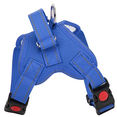 Yinhing Hundekabelbaum, Katze Walking -Kabelbaum Haustier Sattelkabelbaum mit Einfacher Kontrolle Handlungsgriff Verstellbarer Reflektierender Oxford Pet Histribess Welpenkabelbaum und Leinen -Set Yinhing Hundekabelbaum, Katze Walking -Kabelbaum Haustier Sattelkabelbaum mit Einfacher Kontrolle Handlungsgriff Verstellbarer Reflektierender Oxford Pet Histribess Welpenkabelbaum und Leinen -Set von Yinhing