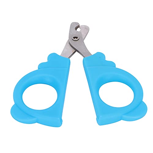 Yinhing Katzennagel Clipper, Hundenagelschneider Haustierpflegewerkzeug Edelstahl Klauen Klammer Trimmer Katrawschneider für Katzen, Kätzchen, Hamster, Vögel, Kleine Rassenklauenschneider (Blue) von Yinhing