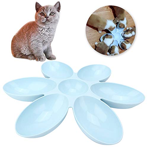Yinhing Plastikhund Schüssel, Welpen -Fütterungsschalen Wasser Ernährt (Blue) von Yinhing