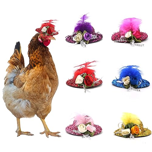 Yinuoday 6 x Hühnerhüte, lustige Haustiermütze, Dekoration für Enten, Küken, Vögel, Hamster von Yinuoday