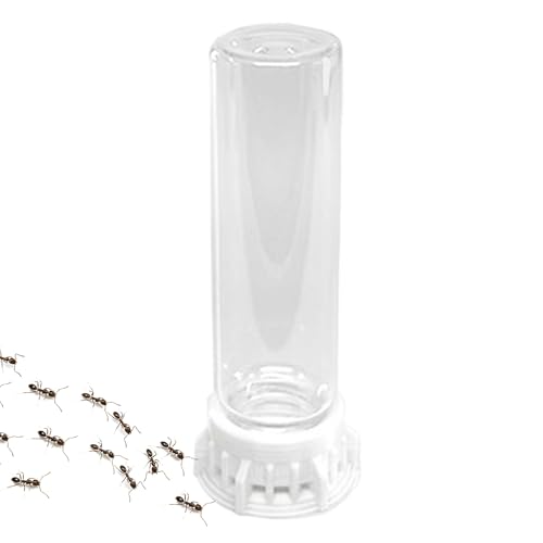 Yiohejy Ameisenfarm Wasserfutterstation für Kleintiere, auslaufsicher, tragbar, Ameisennest, Zubehör, robuste Futterstation für Zuhause, Innennest, Zubehör von Yiohejy