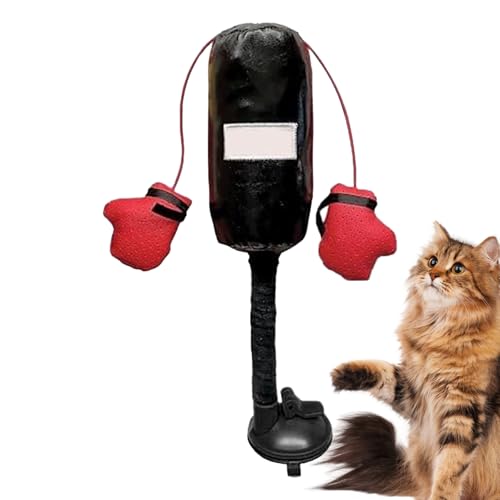 Yiohejy Katzen-Boxsack-Spielzeug, interaktives Kätzchen-Übungsspielzeug, Boxsack mit Handschuhen, Katzenspielzeug, Katzenspielzeug, kreatives Katzenspielzeug für Bewegung und Langeweile Yiohejy Katzen-Boxsack-Spielzeug, interaktives Kätzchen-Übungsspielzeug, Boxsack mit Handschuhen, Katzenspielzeug, Katzenspielzeug, kreatives Katzenspielzeug für Bewegung und Langeweile von Yiohejy