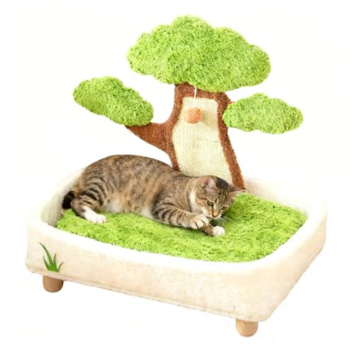 Yiohejy Katzenbett Für Kätzchen - Tannenbaum Topfbett Mit Kuschelball Und Kratzteil,Abnehmbarer Waschbarer Haustierhöhle Zum Schlafen Wohnzimmer Schlafzimmer Neben - Winterkomfort Wohnzimmer Yiohejy Katzenbett Für Kätzchen - Tannenbaum Topfbett Mit Kuschelball Und Kratzteil,Abnehmbarer Waschbarer Haustierhöhle Zum Schlafen Wohnzimmer Schlafzimmer Neben - Winterkomfort Wohnzimmer von Yiohejy