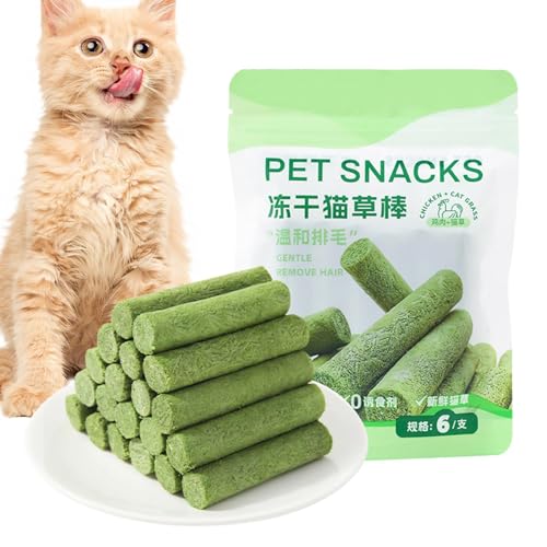 Yiohejy Katzengras Beißstab, Zahnreinigung Gras Sticks, Katzenminze Kauspielzeug für Indoor Kitten, Natürliches Kauspielzeug, Fördert Verdauung, Für Katzen Haarball Entfernung Yiohejy Katzengras Beißstab, Zahnreinigung Gras Sticks, Katzenminze Kauspielzeug für Indoor Kitten, Natürliches Kauspielzeug, Fördert Verdauung, Für Katzen Haarball Entfernung von Yiohejy