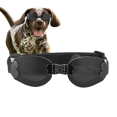 Yiohejy Schutzbrille für Hunde, Größe M, Augenschutz für Haustiere, verstellbarer Riemen, faltbare Haustier-Sonnenbrille für Plateau, Langlauf, , Skifahren Yiohejy Schutzbrille für Hunde, Größe M, Augenschutz für Haustiere, verstellbarer Riemen, faltbare Haustier-Sonnenbrille für Plateau, Langlauf, , Skifahren von Yiohejy