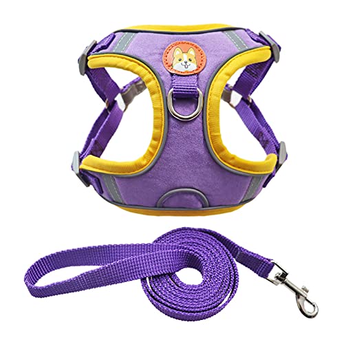 Hundegeschirr für kleine Hunde, reflektierend, atmungsaktiv, weiches Netzgewebe, gepolstert, zur Befestigung an der Leine, verstellbar, für den täglichen Spaziergang, Violett, Größe S Hundegeschirr für kleine Hunde, reflektierend, atmungsaktiv, weiches Netzgewebe, gepolstert, zur Befestigung an der Leine, verstellbar, für den täglichen Spaziergang, Violett, Größe S von Yirepny