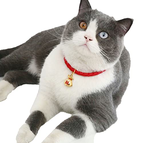 Hundehalsband, verstellbar, mit Glöckchen, niedlich, modisch, weiches Polyester-Halsband für kleine Haustiere, Hunde, Katzen, Rot, M von Yirepny