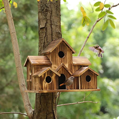 Vogelhaus 6 LöcherFade-resistente handgefertigte Vogelhäuser aus Holz für Gartenfenster Outdoor Home Backyard Supply Holzfarbe von Yirtree