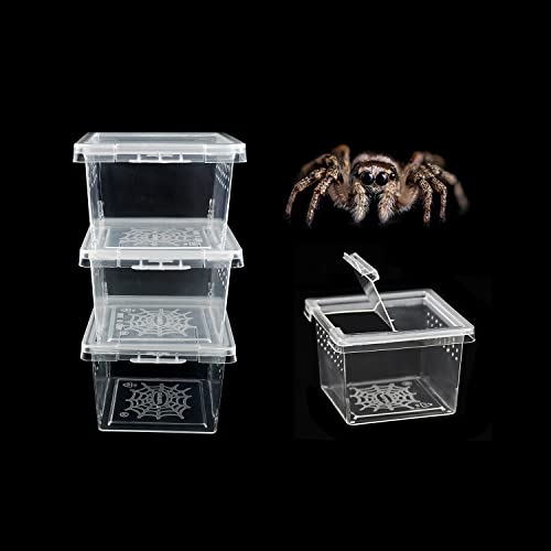 10 Stück Insektenbehälter Spinne Terrarien Critter Keeper Haustier Baby Enclosure Zuchtbox Schneckenbehälter Kleines Reptilien Terrarium Insektengehege Tank Spinne Habitat Käfig von Yitokmc