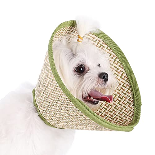 Yiwong Katzenhundezapfen, Halskrause für Haustiere Schutzkragen Kegel Krägen aus Kunststoff, Leichtgewicht Schutzkragen für Welpen, Kleine Hunde und Katzen Yiwong Katzenhundezapfen, Halskrause für Haustiere Schutzkragen Kegel Krägen aus Kunststoff, Leichtgewicht Schutzkragen für Welpen, Kleine Hunde und Katzen von Yiwong