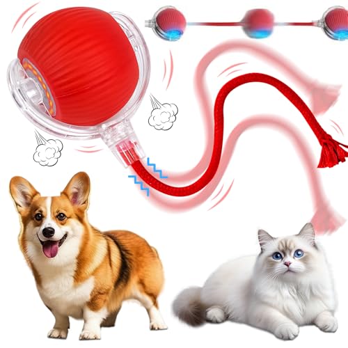 Yizemay Katzenspielzeug Elektrisch, Katzenball Spielzeug Elektrisch, Powerball Interaktiver Spielball für Katzen, Intelligente Hindernisvermeidung Katzen Spielzeug Elektrisch Ball von Yizemay