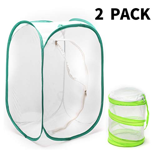 Yizerel Insekten- und Schmetterlingskäfig, Terrarium mit Pop-Up-Design, für Naturbeobachtung, Schmetterlinge und Insekten, etc., 60 cm hoch, mit Mini Habitat Käfig (2 Stück) von Yizerel