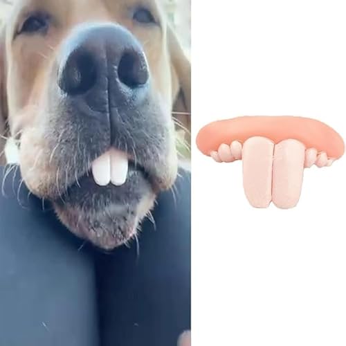 Yjemle Weiße künstliche Zähne für Hunde, Hundespielzeug, Weihnachtskostüm, lustige Hundezahnspangen, geeignet für Hunde, Kauspielzeug, Haustierbedarf, Spielzeug Yjemle Weiße künstliche Zähne für Hunde, Hundespielzeug, Weihnachtskostüm, lustige Hundezahnspangen, geeignet für Hunde, Kauspielzeug, Haustierbedarf, Spielzeug von Yjemle