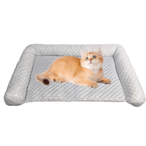 Yjkedfh Hundebett mit Kühleffekt - Kühlmatte Für Hunde | Tragbares Eiskissen als Schlaf-Lösung für Hunde, Katzen und andere Haustiere, für Reisen, Camping, drinnen und draußen, verbessert das Ruhen Yjkedfh Hundebett mit Kühleffekt - Kühlmatte Für Hunde | Tragbares Eiskissen als Schlaf-Lösung für Hunde, Katzen und andere Haustiere, für Reisen, Camping, drinnen und draußen, verbessert das Ruhen von Yjkedfh