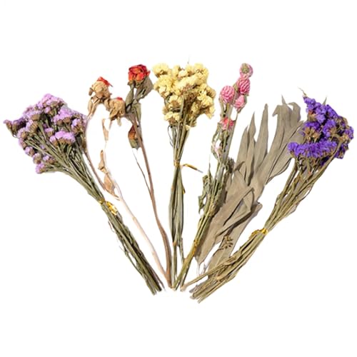 Ylnailky Einstreu für Hamster und Heublumen, Tier-Blumenwohnraum, Dekoration, lustiges Hamster-Zubehör, natürliche Blumenbettwäsche, Lebensraum-Dekoration für Hamster Ylnailky Einstreu für Hamster und Heublumen, Tier-Blumenwohnraum, Dekoration, lustiges Hamster-Zubehör, natürliche Blumenbettwäsche, Lebensraum-Dekoration für Hamster von Ylnailky