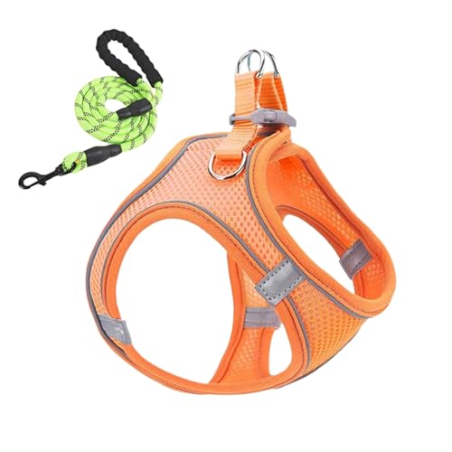 Ylnailky Hundegeschirr Und Leinen Set, Anti-Zug Geschirr Mit Leine, Ausbruchsicheres Welpen Katzen Weste Mit Reflektierenden Gurten Für Wanderungen Camping Ausflüge Outdoor von Ylnailky