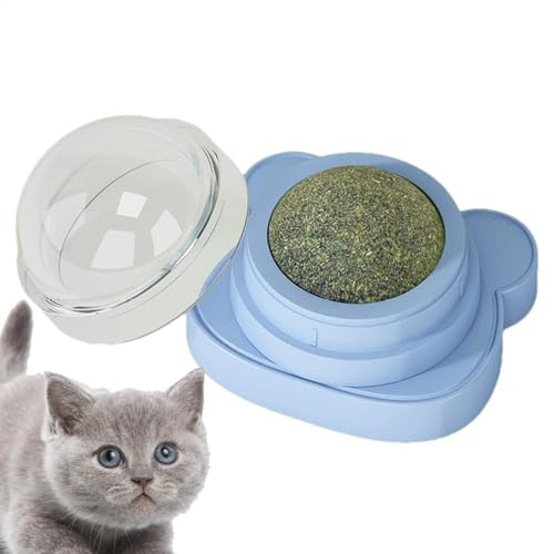 Ylnailky Katzenminze-Wandbälle,Katzenminze-Spielzeugbälle | Drehbares Kätzchen-Wandspielzeug, Katzenminze-Bälle | Katzenleckspielzeug, Katzenminze-Ball für kleine, mittelgroße und große Katzen, Ylnailky Katzenminze-Wandbälle,Katzenminze-Spielzeugbälle | Drehbares Kätzchen-Wandspielzeug, Katzenminze-Bälle | Katzenleckspielzeug, Katzenminze-Ball für kleine, mittelgroße und große Katzen, von Ylnailky