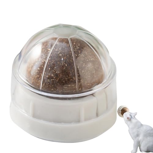 Ynnhik Katzenminze-Ball-Spielzeug | Drehbares essbares Kätzchenspielzeug zum Lecken von Katzen - Katzenwand-Leckerli, Bio-Katzenminze, gesunde Zahnreinigung, Kauspielzeug, Katzenminze-Ba Ynnhik Katzenminze-Ball-Spielzeug | Drehbares essbares Kätzchenspielzeug zum Lecken von Katzen - Katzenwand-Leckerli, Bio-Katzenminze, gesunde Zahnreinigung, Kauspielzeug, Katzenminze-Ba von Ynnhik