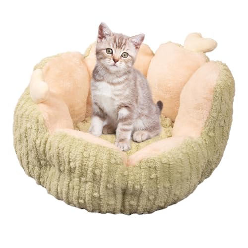 Kleines Hundebett - Kaktusförmiges Kätzchenhaus, Kreative Hundebetten für kleine Hunde | waschbares Haustierbett für Welpen und Kätzchen mit Rutschfester Unterseite Kleines Hundebett - Kaktusförmiges Kätzchenhaus, Kreative Hundebetten für kleine Hunde | waschbares Haustierbett für Welpen und Kätzchen mit Rutschfester Unterseite von Ynnhik