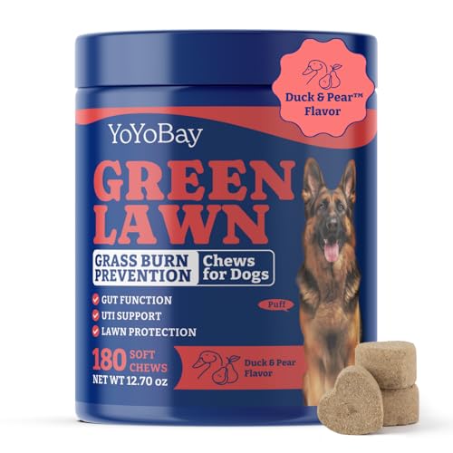 YoYoBay Green Lawn - Grasverbrennungs-Kauspielzeug für Hunde YoYoBay Green Lawn - Grasverbrennungs-Kauspielzeug für Hunde von YoYoBay