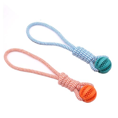 Yoaeyok 2 Stück Wurfball Hund, 5 cm Bälle mit Schnur für Hund, Futterball für Hunde, Kauball für Hunde, Hunde Intelligenz Ball Gummiball Interaktiver Ball für Große & Kleine Hunde (Blau + Orange) Yoaeyok 2 Stück Wurfball Hund, 5 cm Bälle mit Schnur für Hund, Futterball für Hunde, Kauball für Hunde, Hunde Intelligenz Ball Gummiball Interaktiver Ball für Große & Kleine Hunde (Blau + Orange) von Yoaeyok