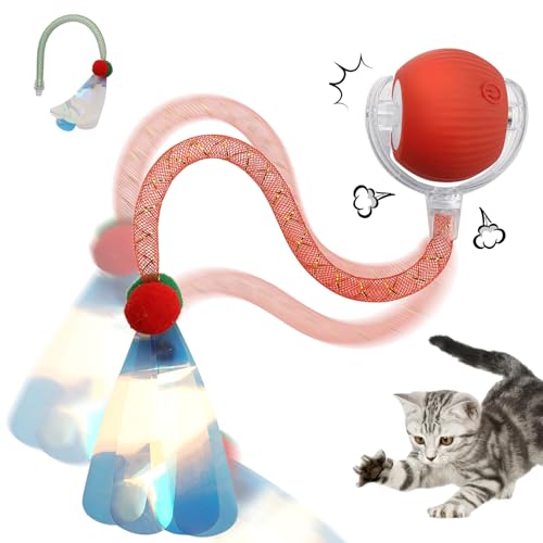 Yocdunm Interaktives Katzenspielzeug für Indoor-Katzen, wiederaufladbar, unregelmäßig, agil, beweglicher Ball mit elastischem Netzschwanz, automatisches Katzenspielzeug, interaktiver Hundeball für Yocdunm Interaktives Katzenspielzeug für Indoor-Katzen, wiederaufladbar, unregelmäßig, agil, beweglicher Ball mit elastischem Netzschwanz, automatisches Katzenspielzeug, interaktiver Hundeball für von Yocdunm