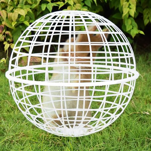 Kaninchenkäfig PVC-Hühnerstall Kugelförmiger Kaninchenstall Käfig for Hühnerbällchen im Freien tragbarer Hühnerstall Meerschweinchenkäfige zur Freilandhaltung for Schutz von Haustieren (Color : Quant Kaninchenkäfig PVC-Hühnerstall Kugelförmiger Kaninchenstall Käfig for Hühnerbällchen im Freien tragbarer Hühnerstall Meerschweinchenkäfige zur Freilandhaltung for Schutz von Haustieren (Color : Quant von Yofsza