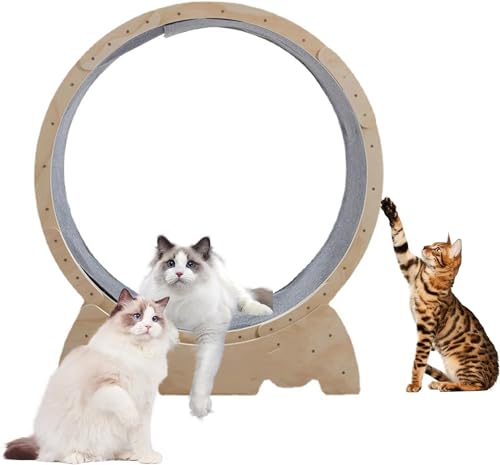 Katzenlaufband, XL Katzenlaufrad mit Feststellung, bissfest und kratzfest, Katzenrad Trainingsgerät für Indoor-Katzen, Gelb von Yokawe