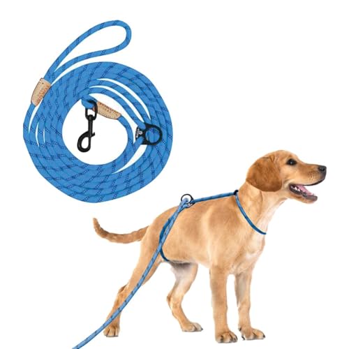YOKUM GEAR 3,6 m lange Hundeleine ohne Ziehen, kein Würgen, Anti-Ziehen, Hundegeschirr und Leine, Hundeleine zum Spazierengehen, Doppelhaken und ausbruchsicher, für alle Rassen, reflektierend, YOKUM GEAR 3,6 m lange Hundeleine ohne Ziehen, kein Würgen, Anti-Ziehen, Hundegeschirr und Leine, Hundeleine zum Spazierengehen, Doppelhaken und ausbruchsicher, für alle Rassen, reflektierend, von Yokum Gear
