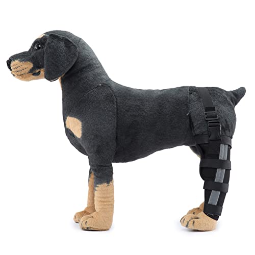Hinterbeinbandage für Hunde, zur Erholung von Operationen, Welpenrückbeinschutz mit stabiler Unterstützung, Knieschoner in den Größen XXS, XS, S, M, L, aus Neopren, verhindert Lecken von Kauwunden von YolieraArt