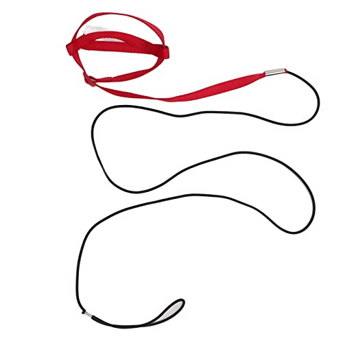 YolieraArt Vogelleine, verstellbares Papageien-Trainingsseil für Spaziergänge und Partys, starkes Nylon-Gurtband und elastisches Seil, 8-förmiger Gurt, leicht mit Griffhaken (Größe XL) von YolieraArt