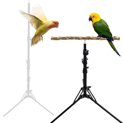 Yolispa Papageien-Trainingsstange, höhenverstellbar, für kleine bis mittelgroße Vögel von Yolispa