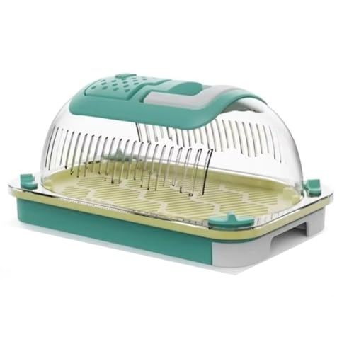 Yominerr Atmungsaktierbarer Insektenzüchterbox Ideal für Reptilien, Seidenwürmer Beobachtung Tragetasche Yominerr Atmungsaktierbarer Insektenzüchterbox Ideal für Reptilien, Seidenwürmer Beobachtung Tragetasche von Yominerr