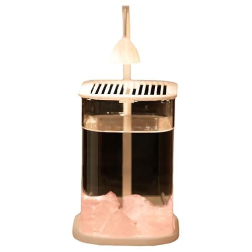 Yominerr Mini-Desktop-Glas-Aquarium-Fischtank mit Farbigem Kristall LED-Licht High-End-Zierlampe Rosa Kristallstein von Yominerr