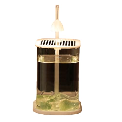 Yominerr Mini-Desktop-Glas-Aquarium-Fischtank mit Farbiger Kristall-LED-Lampe Desktop-Ornamente High-End-Glas-Lampe Grünkristallstein von Yominerr