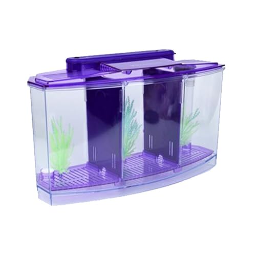 Yominerr Mini Zuchtfischtank Aquarium Fischtank LED ACRYRIC DREI Abteilungen Zuchtisolation Box für Kleine Fische Lila von Yominerr