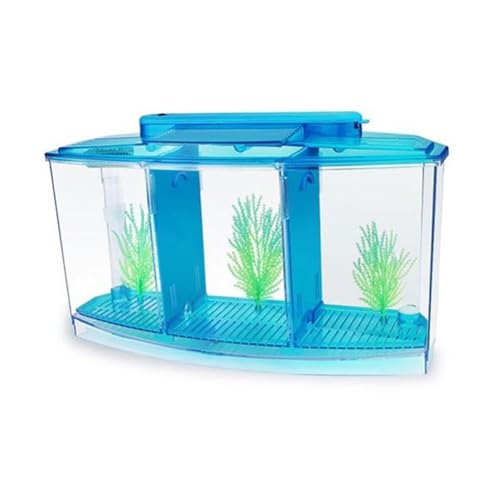 Yominerr Mini Zuchtfischtank Aquarium Fischtank LED Acryl DREI Divisionen Zuchtisolationsbox für Kleine Fische Blau von Yominerr