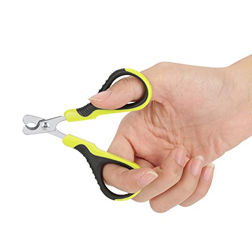 Yomiyuyr Edelstahl-Nagelknipser für Haustiere, Katzen-Nagelknipser mit weichem Gummigriff, professionelles Pflegewerkzeug für kleine Hunde, Katzen, Kaninchen, Vögel Yomiyuyr Edelstahl-Nagelknipser für Haustiere, Katzen-Nagelknipser mit weichem Gummigriff, professionelles Pflegewerkzeug für kleine Hunde, Katzen, Kaninchen, Vögel von Yomiyuyr