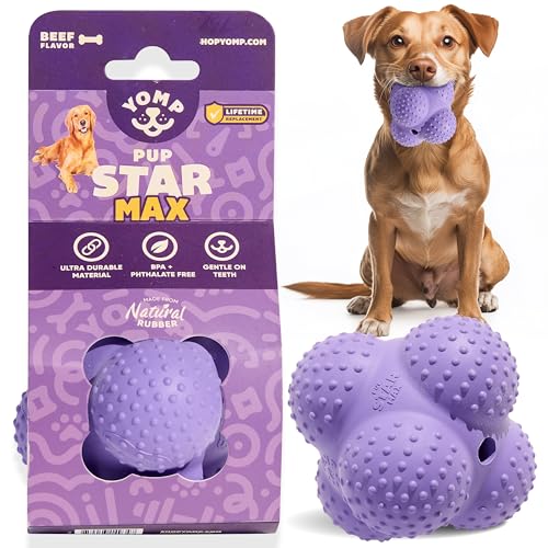 Yomp PupStar MAX Hundespielzeug - Sternförmiger Hüpfball mit Noppen für Zahngesundheit, spülmaschinenfest Yomp PupStar MAX Hundespielzeug - Sternförmiger Hüpfball mit Noppen für Zahngesundheit, spülmaschinenfest von Yomp
