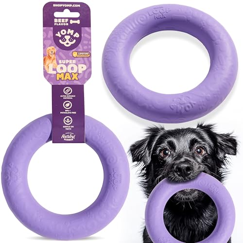Yomp SuperLoop Max Hundekauring - langlebig, spülmaschinenfest, für aktives Spielen, Zerren, Apportieren & Kauen Yomp SuperLoop Max Hundekauring - langlebig, spülmaschinenfest, für aktives Spielen, Zerren, Apportieren & Kauen von Yomp
