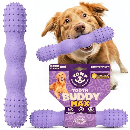 Yomp ToothBuddy MAX Hundespielzeug - Apportierbereit & spülmaschinenfest Yomp ToothBuddy MAX Hundespielzeug - Apportierbereit & spülmaschinenfest von Yomp
