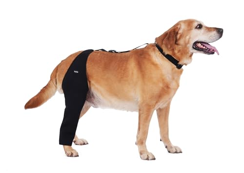 Hunde-Genesungsmanschette, wasserdichtes Tauchmaterial, Hundebeinmanschette gegen Lecken und Beißen, fest und sicher, verstellbare Größe, bequeme Alternative zu Kegelhalsbändern (S, Einzelbein) von Yoneba