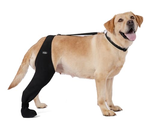 Hundesocken, um das Lecken von Pfoten zu verhindern, atmungsaktive Hundebeinmanschette gegen Lecken und Beißen, feste und sichere verstellbare Größe (XL-rechts) von Yoneba