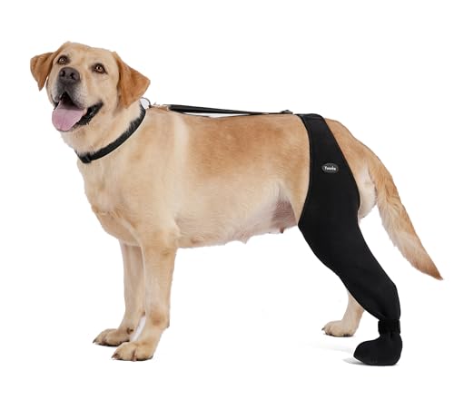 Hundesocken, um das Lecken von Pfoten zu verhindern, atmungsaktive Hundebeinmanschette gegen Lecken und Beißen, feste und sichere verstellbare Größe für Hunde (L-Links) von Yoneba